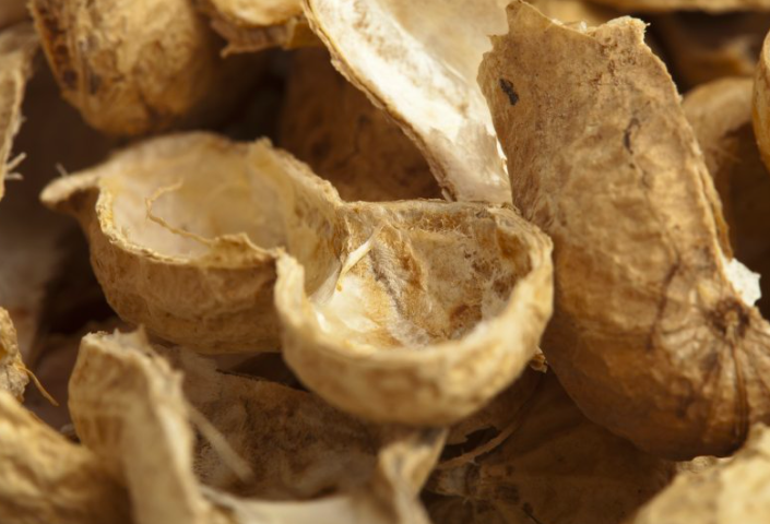 Peanut Shell