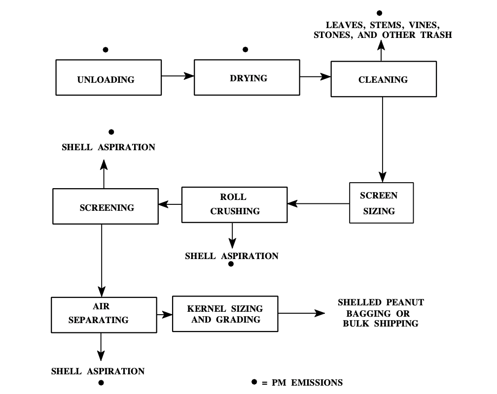 Processing of shelled peanuts